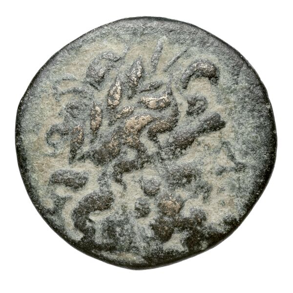 Neapolis AMNG III.2 8-16, аверс, bnf-iris