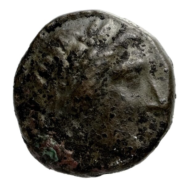 Neapolis AMNG III.2 8-16, аверс, bnf-iris