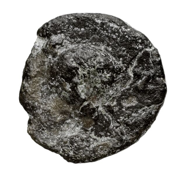 Neapolis AMNG III.2 17-20, реверс, bnf-iris