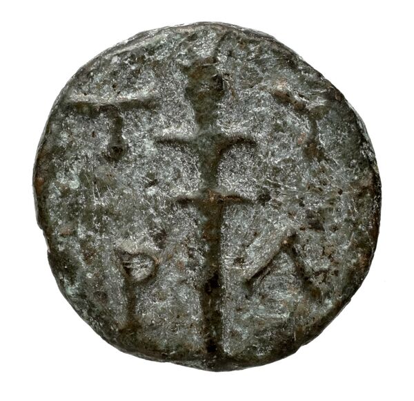 reverse Tyras Anokhin 2011 47