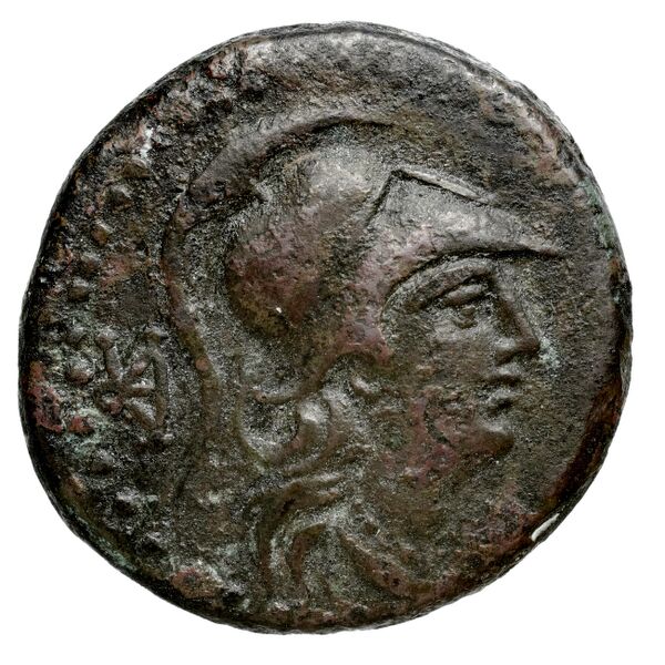 obverse Tyras Anokhin 2011 44
