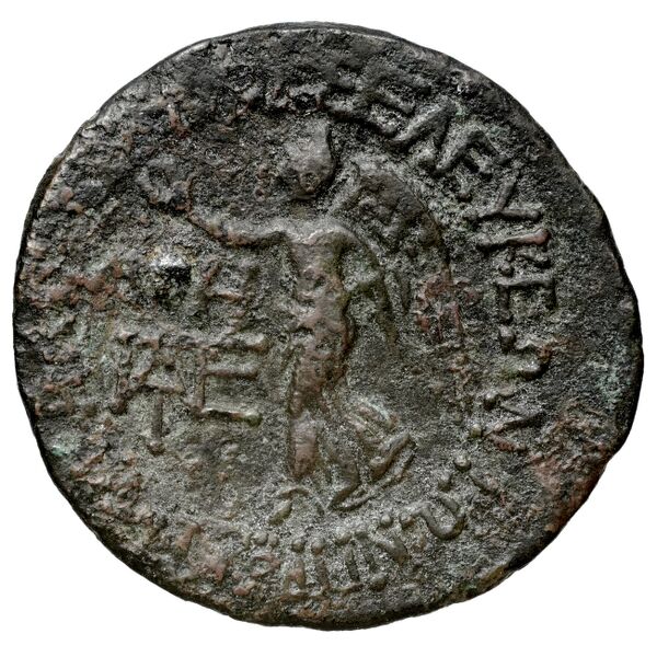 reverse Tyras Anokhin 2011 44