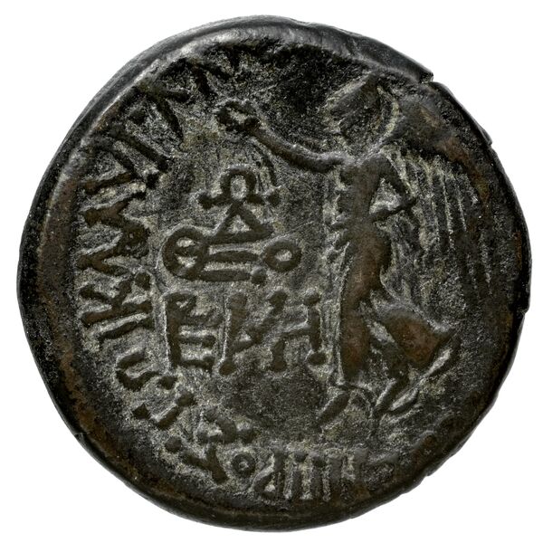 реверс Orthagoreia AMNG III.2 3