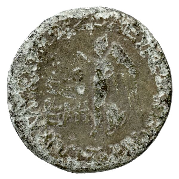 реверс Orthagoreia AMNG III.2 4