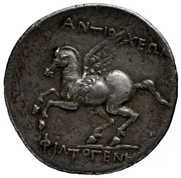 Alabanda Meadows 2020 1, реверс, bnf-iris