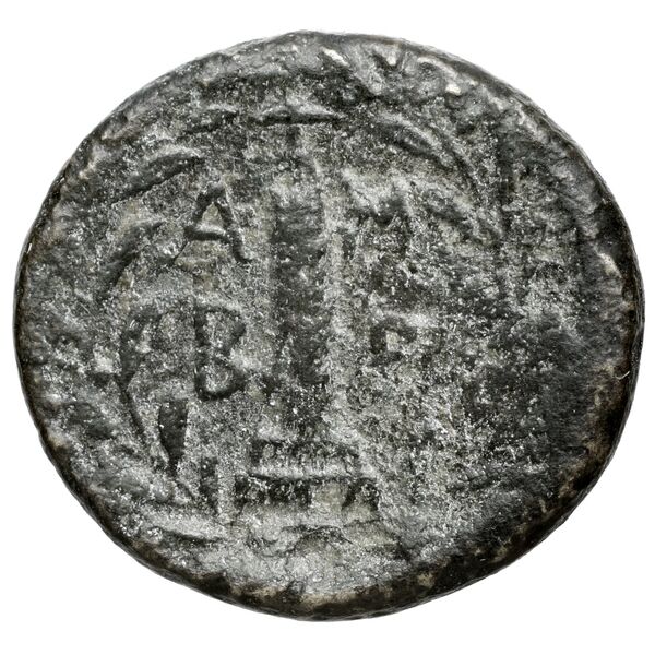 Ambracia BMC Ambracia 5-9, реверс, bnf-iris