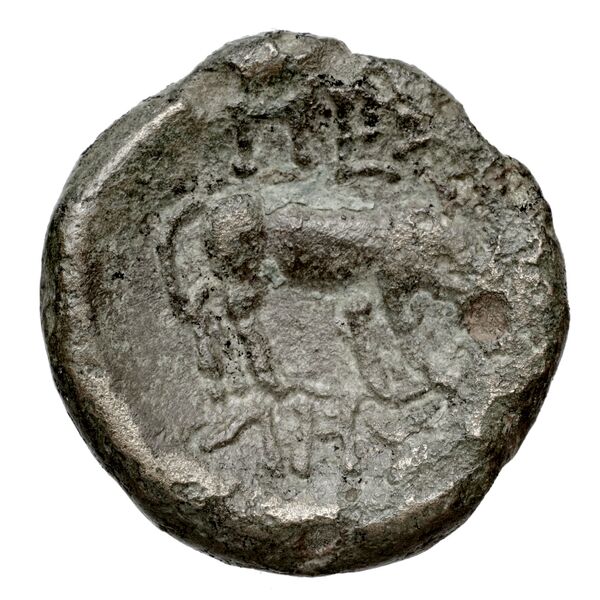 Pella AMNG III.2 14-15, реверс, bnf-iris