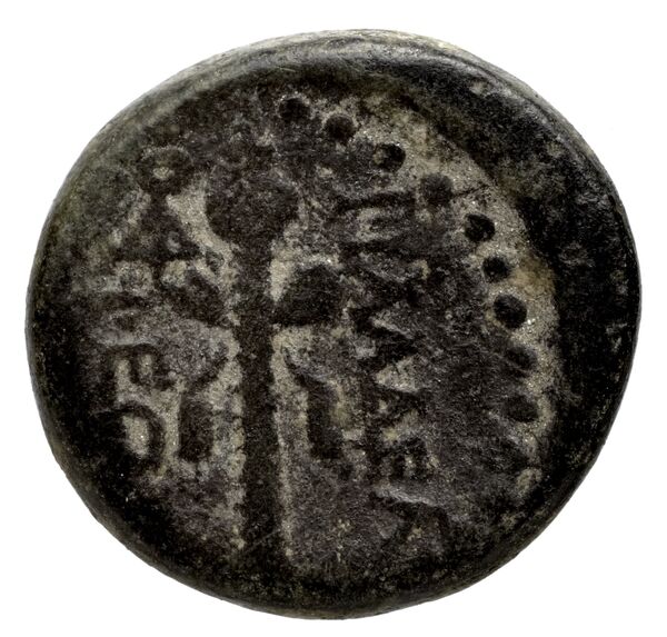 Philadelphia Hochard 2020 2.1, reverse, bnf-iris