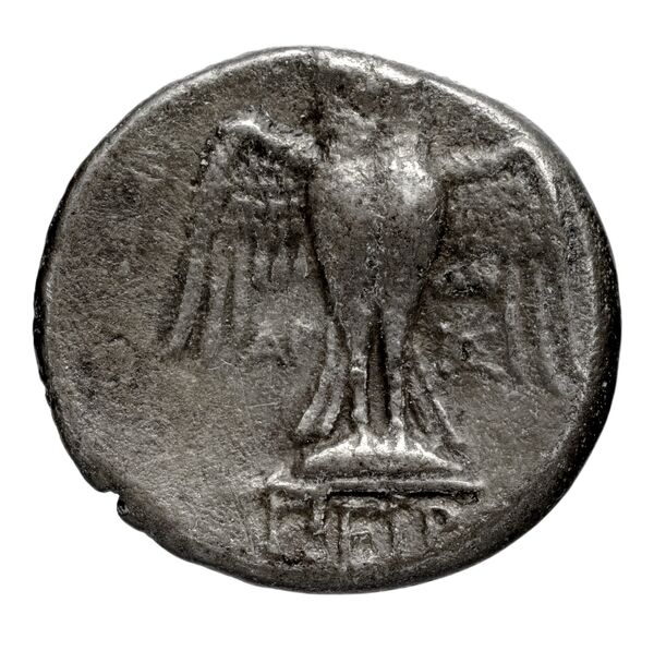 Pella AMNG III.2 14-15, реверс, bnf-iris
