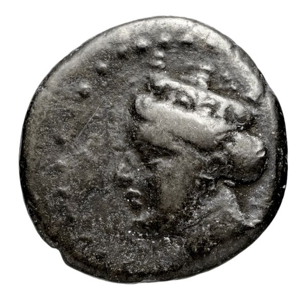 Pella AMNG III.2 14-15, аверс, bnf-iris