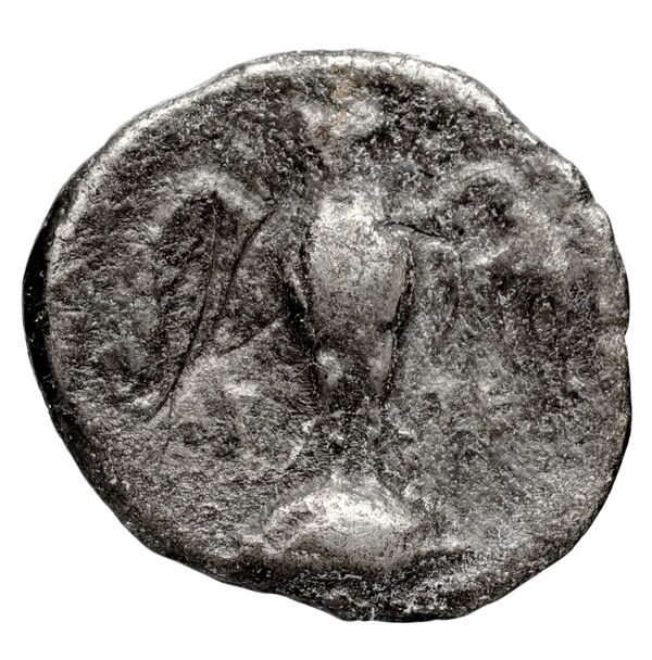 Pella AMNG III.2 14-15, реверс, bnf-iris