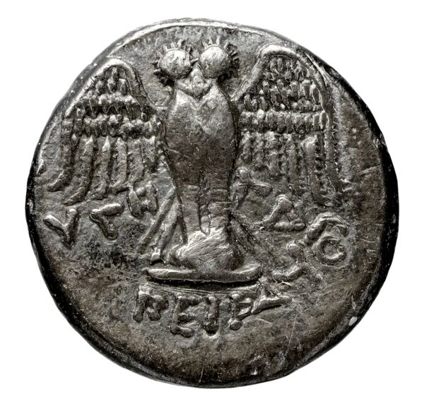 Pella AMNG III.2 8, реверс, bnf-iris