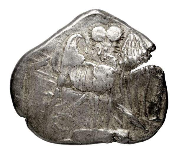 Pella AMNG III.2 8, реверс, bnf-iris
