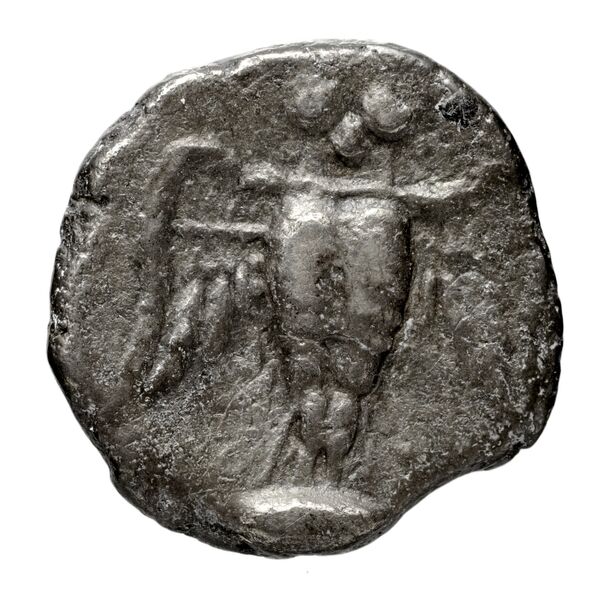 Pella AMNG III.2 8, реверс, bnf-iris