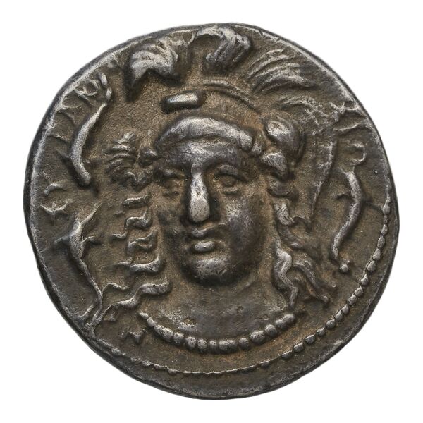 Syracuse SNG ANS 519-522, аверс, bnf-iris
