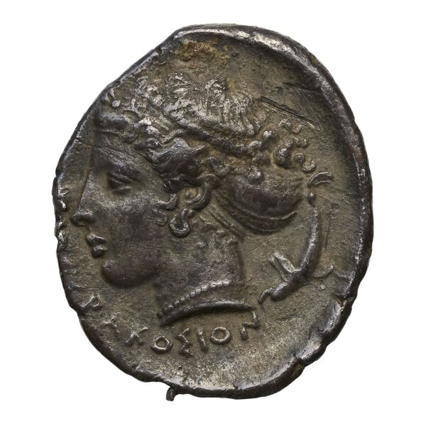 Syracuse SNG ANS 305, реверс, bnf-iris