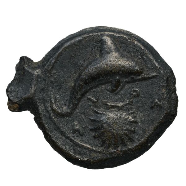 Syracuse Puglisi 2009 300, реверс, bnf-iris