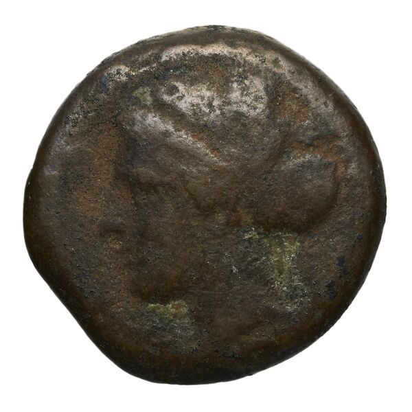 Syracuse Puglisi 2009 300, аверс, bnf-iris