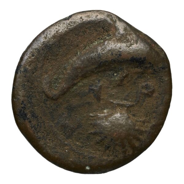 Syracuse Puglisi 2009 300, реверс, bnf-iris