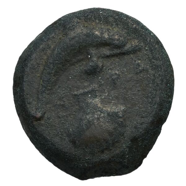 Syracuse Puglisi 2009 300, реверс, bnf-iris