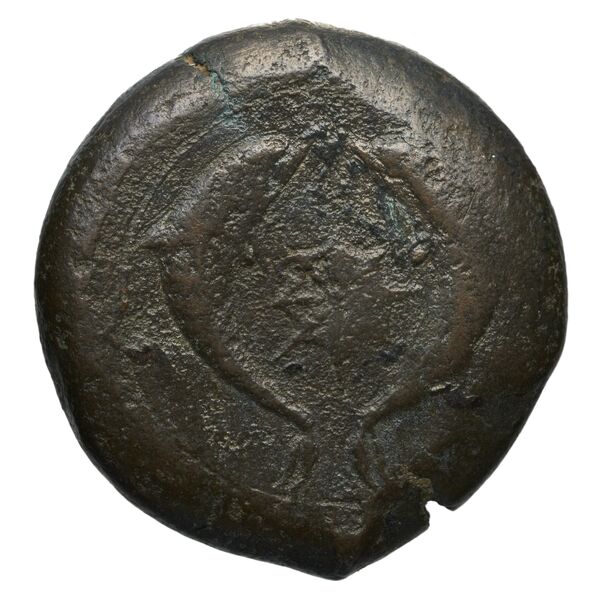 Syracuse Puglisi 2009 302, реверс, bnf-iris
