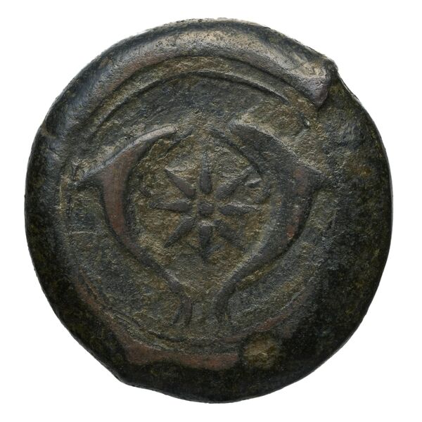 Syracuse Puglisi 2009 302, реверс, bnf-iris