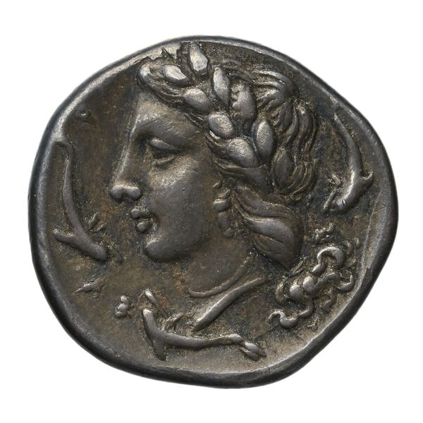 Timoleon Syracuse SNG ANS 511, реверс, bnf-iris