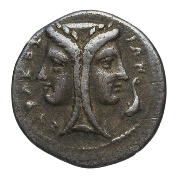 Timoleon Syracuse SNG ANS 516-518, аверс, bnf-iris