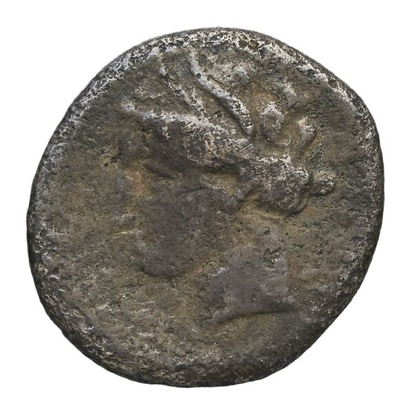 Timoleon Syracuse SNG ANS 512-515_1185, аверс, bnf-iris