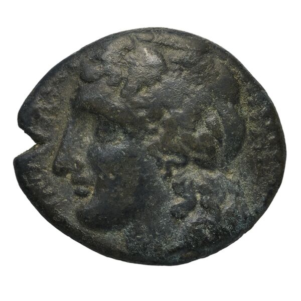Syracuse Puglisi 2009 311, аверс, bnf-iris