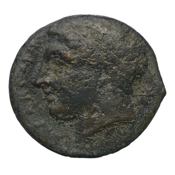 Agathocles of Syracuse Syracuse Puglisi 2009 319, аверс, bnf-iris