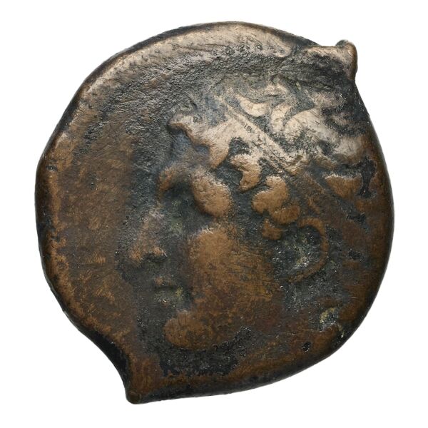 Agathocles of Syracuse Syracuse Puglisi 2009 319, аверс, bnf-iris