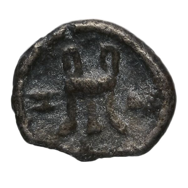 реверс Zacynthus BMC Zacynthus 13-15_21