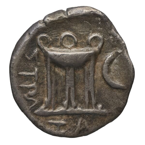 реверс Zacynthus BMC Zacynthus 38