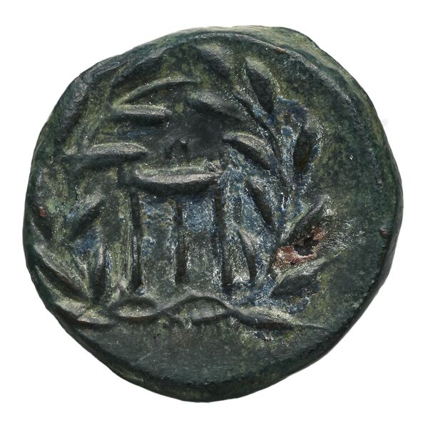 реверс Zacynthus BMC Zacynthus 66