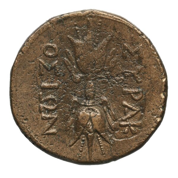 Agathocles of Syracuse Syracuse Puglisi 2009 323-324, реверс, bnf-iris