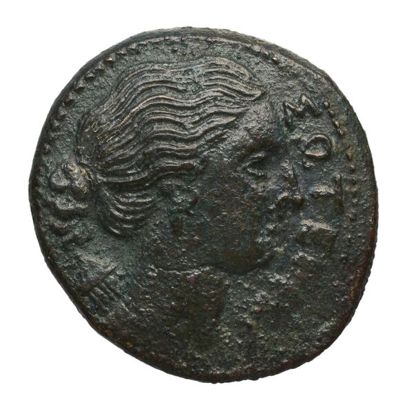Agathocles of Syracuse Syracuse Puglisi 2009 323-324, аверс, bnf-iris