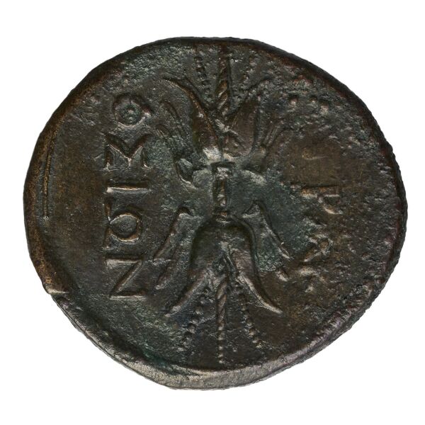 Agathocles of Syracuse Syracuse Puglisi 2009 323-324, реверс, bnf-iris