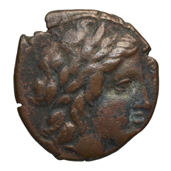 Hicetas Syracuse Puglisi 2009 327, аверс, bnf-iris