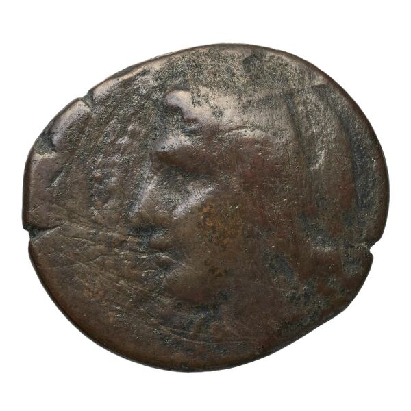 Hicetas Syracuse Puglisi 2009 327, аверс, bnf-iris