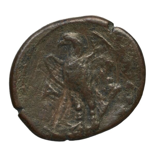 Hicetas Syracuse Puglisi 2009 327, реверс, bnf-iris