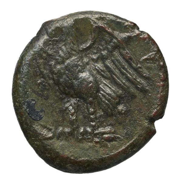 Hicetas Syracuse Puglisi 2009 327, реверс, bnf-iris