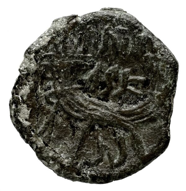 Aretas IV of Nabataea Petra Barkay 2019 186, 188, реверс, bnf-iris