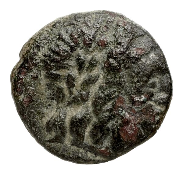 Philip V Macedon AMNG III.2 8-9, аверс, bnf-iris