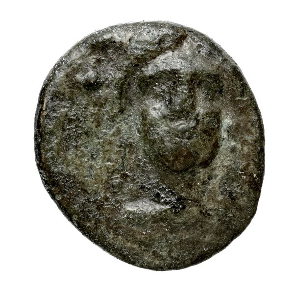 Chalcis Picard 1979 Series I group IV issue 51-54 bronze, аверс, bnf-iris
