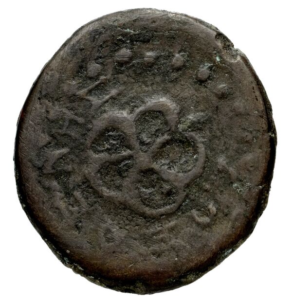 Rhodes BMC Rhodes 362-3, реверс, bnf-iris