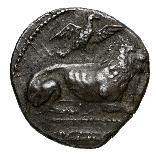 Zotimos of Amathus Amathus BMC Amathus 10-13, аверс, bnf-iris
