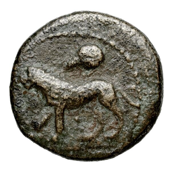 Euagoras II of Salamis Salamis BMC Salamis 69-73, аверс, bnf-iris