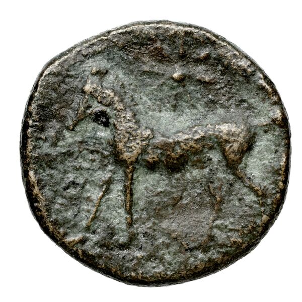 Euagoras II of Salamis Salamis BMC Salamis 69-73, реверс, bnf-iris