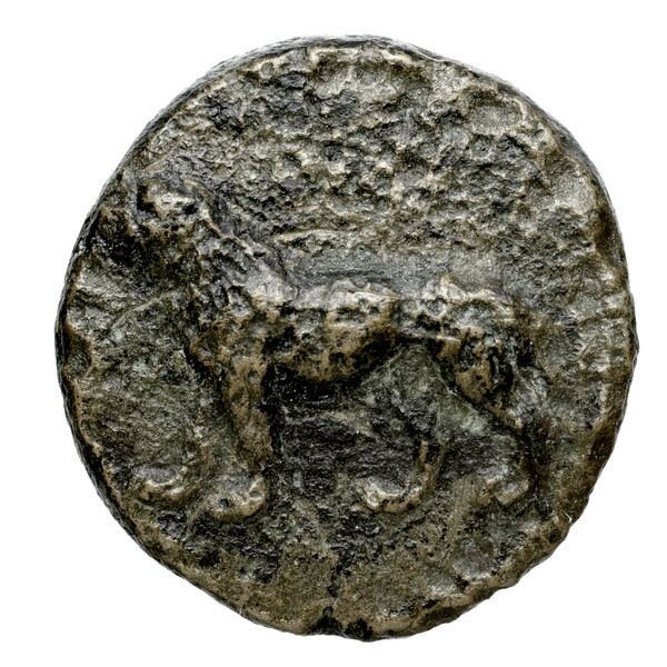 Euagoras II of Salamis Salamis BMC Salamis 69-73, аверс, bnf-iris
